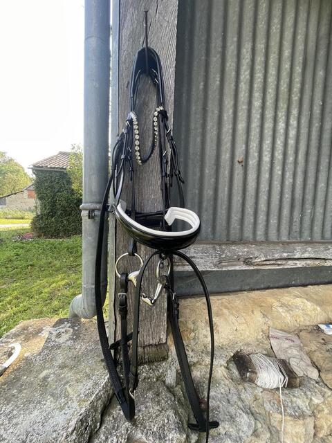 Filet dressage noir full
