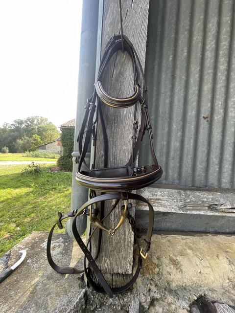Filet marron taille cheval