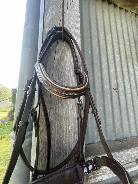 Filet marron taille cheval