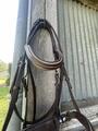 Filet marron taille cheval