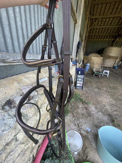 Filet marron taille cheval