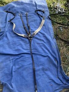 Collier de chasse HI-FI