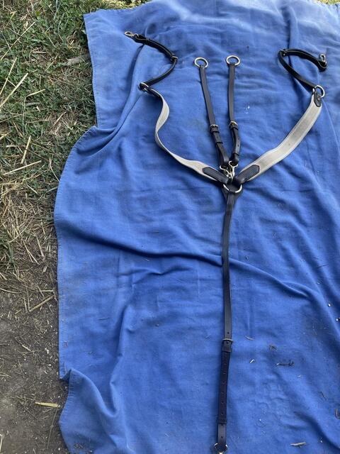 Collier de chasse HI-FI