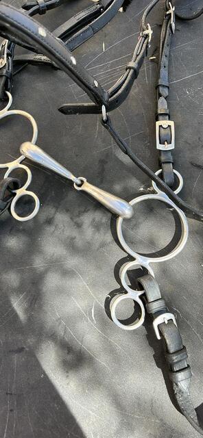 Filet cuir noir avec mors
