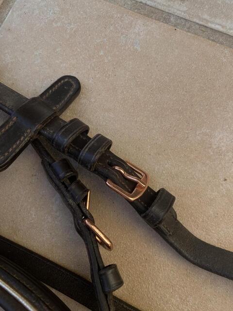 Filet Canter Rose Gold