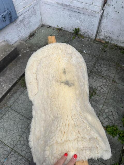 amortisseur blanc