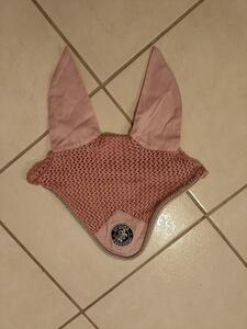 Bonnet spooks equestrian rose