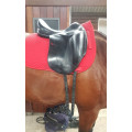 Selle de dressage Equipe