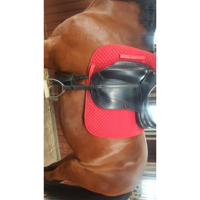 Selle de dressage Equipe