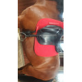 Selle de dressage Equipe
