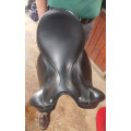 Selle de dressage Equipe