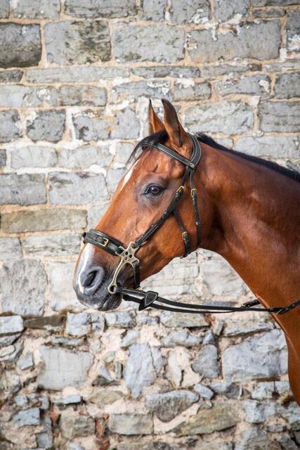 Bridon Hackamore Dyon Neuf