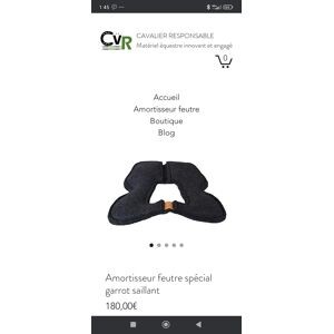 Amortisseur cavalier responsable