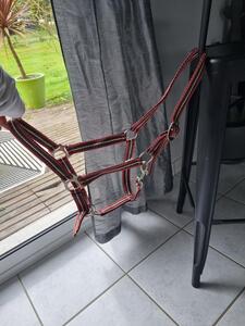 Licol full marron, rose et blanc