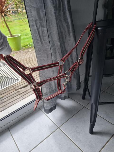 Licol full marron, rose et blanc