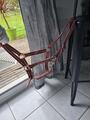 Licol full marron, rose et blanc