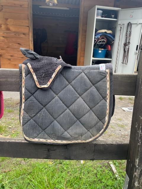 Ensemble tapis bonnet taille poney