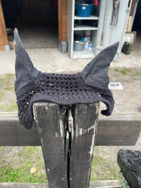 Ensemble tapis bonnet taille poney