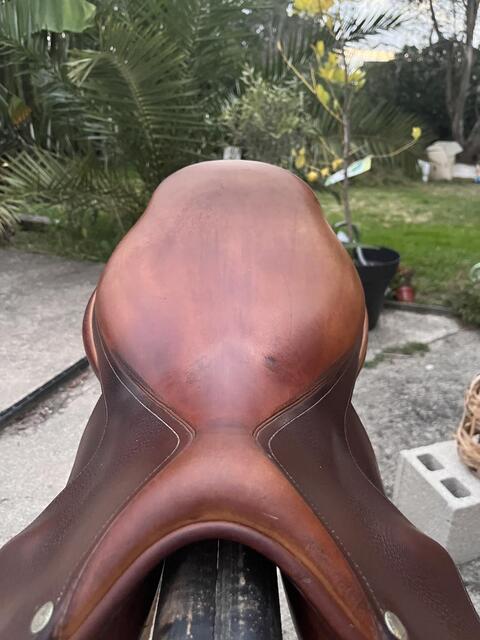 Selle forestier