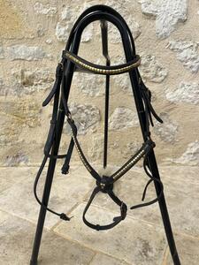 Bridon poney