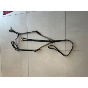 Collier de chasse avec martingale