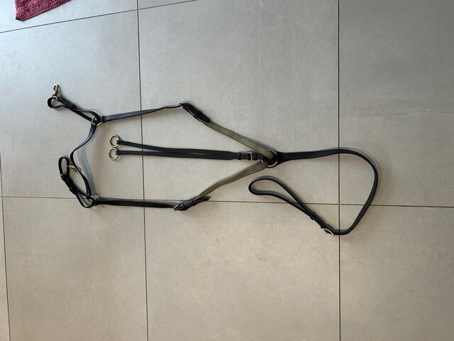Collier de chasse avec martingale