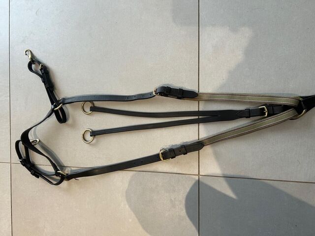 Collier de chasse avec martingale