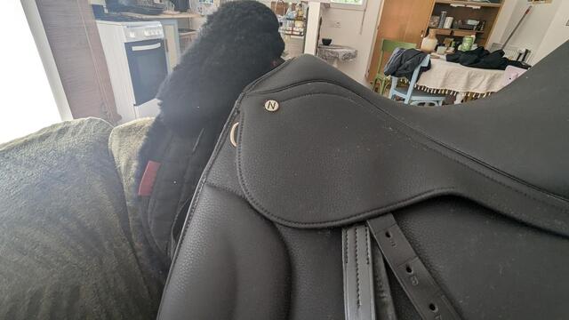 Selle dressage