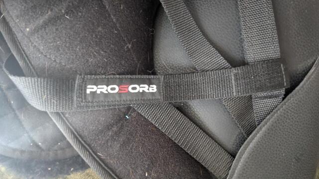 Selle dressage