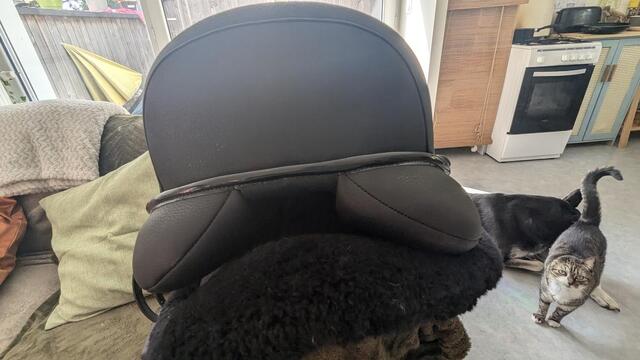 Selle dressage