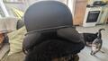 Selle dressage