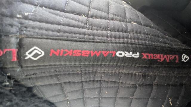 Selle dressage