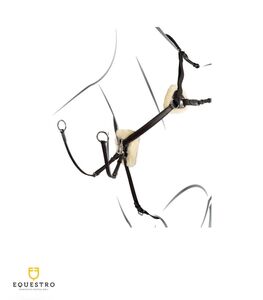 Pectoral