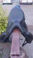 Selle CWD dressage