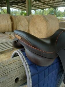 Selle équipe modèle expression