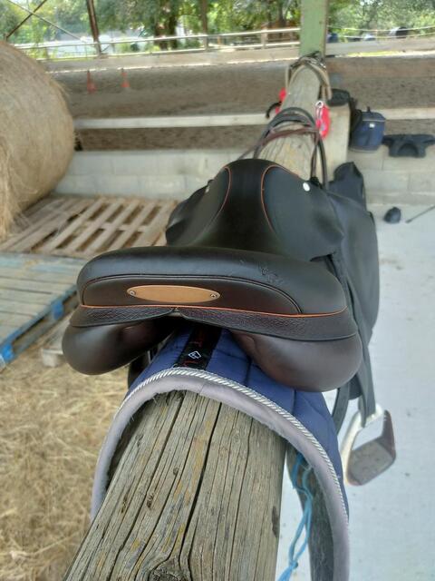 Selle équipe modèle expression