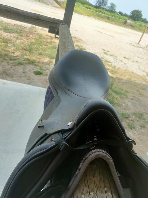 Selle équipe modèle expression
