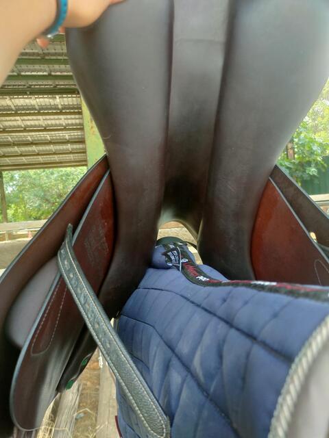 Selle équipe modèle expression