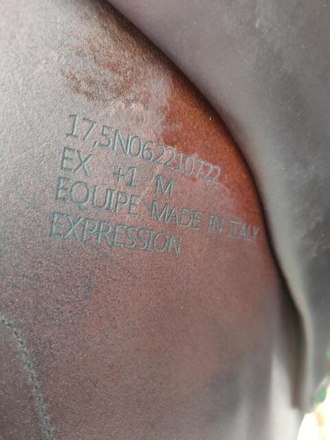 Selle équipe modèle expression