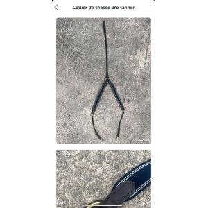 collier de chasse pro tanner