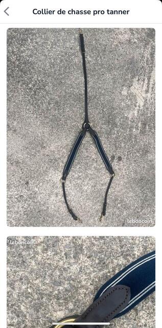 collier de chasse pro tanner
