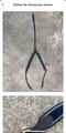 collier de chasse pro tanner