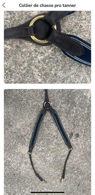 collier de chasse pro tanner