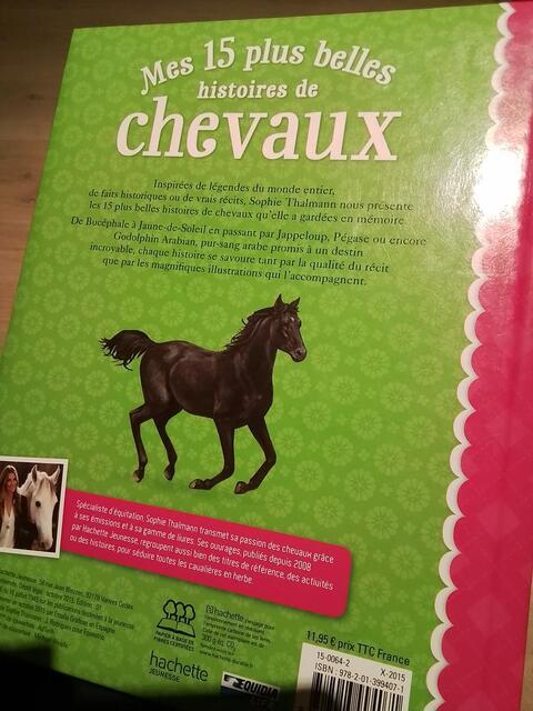 Livre mes 15 plus belles histoires de chevaux