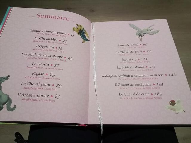 Livre mes 15 plus belles histoires de chevaux