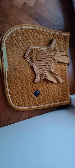 Ensemble Kentucky