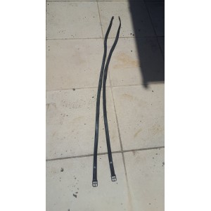 Etriviere forestier noir