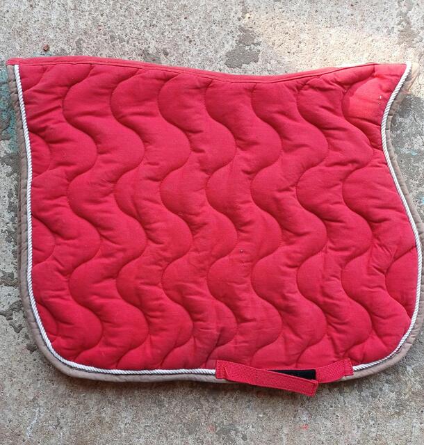 Tapis Rouge Equitheme