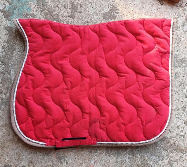 Tapis Rouge Equitheme