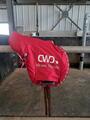 CWD Mono-quartier